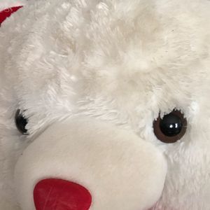 Meet your Posher, Bianca